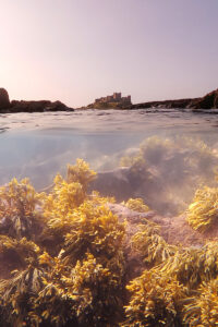 Sous L'Horizon - Château De Bamburgh