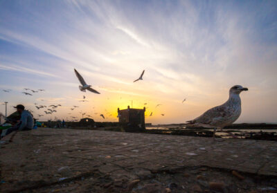 Essaouira - Maroc