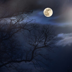 Une Nuit d'Étoiles Éclairé