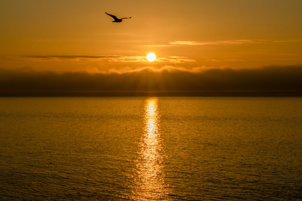 Lever De Soleil Sur Le Fleuve Humber