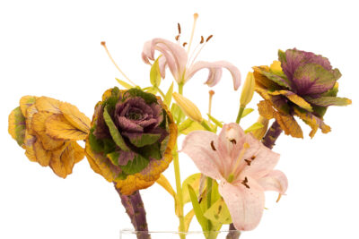 La Beauté Qui S'Estompe