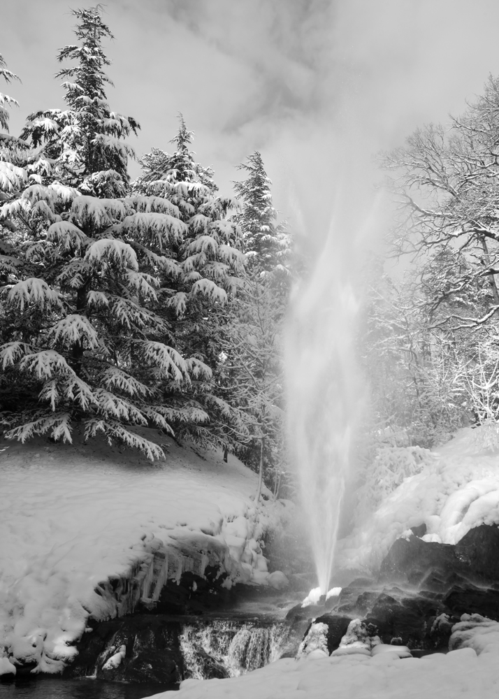 La Gerbe En Hiver -  Lac De Saint-Ferréol